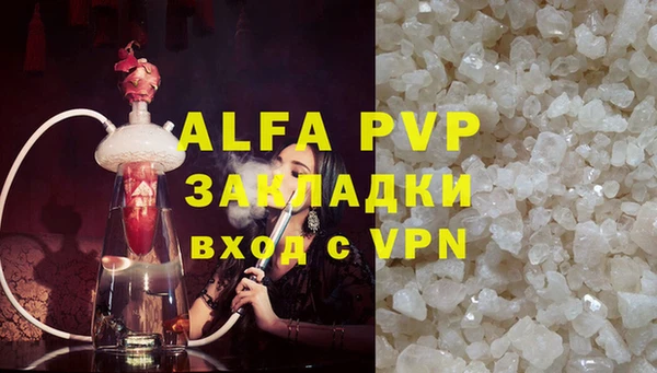гашик Балахна