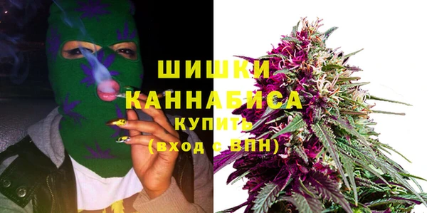 гашик Балахна