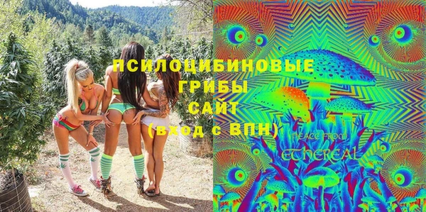гашик Балахна