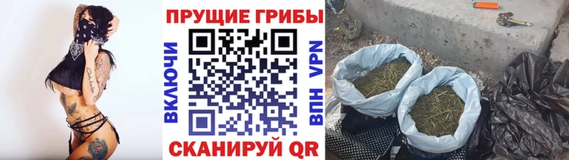 Галлюциногенные грибы мухоморы  omg как войти  Ветлуга 