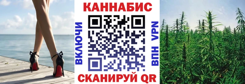 Конопля сатива Ветлуга